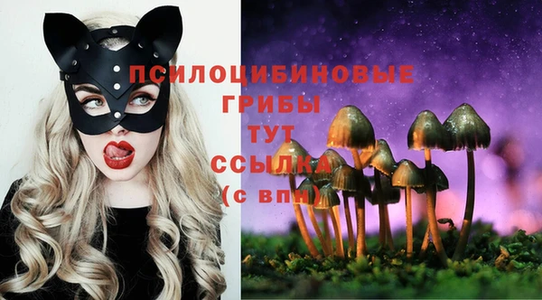 бутират Армянск