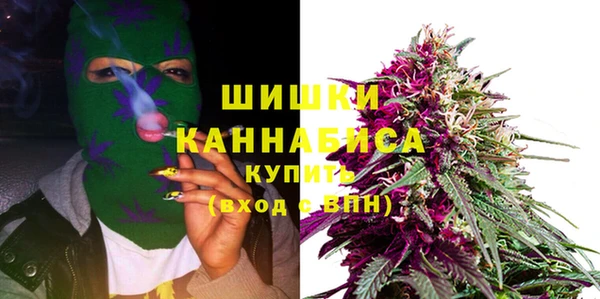 стаф Балахна