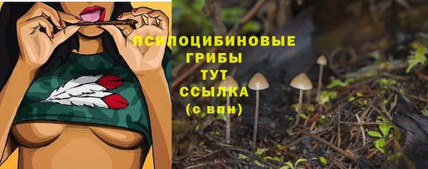 прущий лед Аркадак