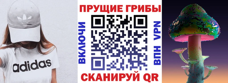 Галлюциногенные грибы мицелий  Купить  Урень 